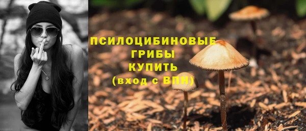 крисы Заводоуковск