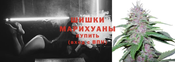 крисы Заводоуковск