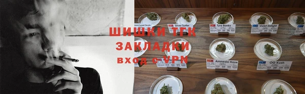 крисы Заводоуковск