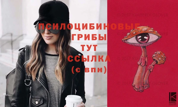 крисы Заводоуковск