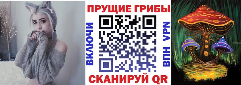 Псилоцибиновые грибы GOLDEN TEACHER Купить где Кашира